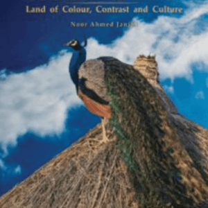 Tharparkar: Land Of Colour, Contrast And Culture