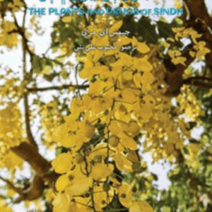 The Plants and Drugs of Sindh